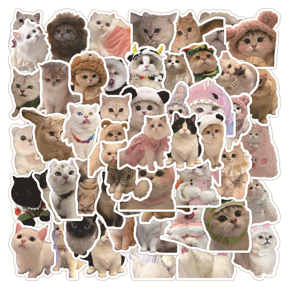 Sticker-Animal Series